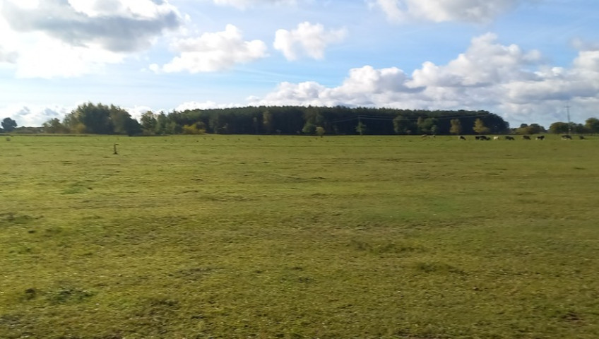 Działka Sprzedaż Borzysławiec