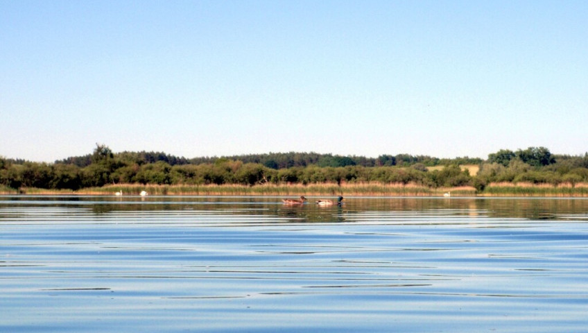 Działka Sprzedaż Żelewo