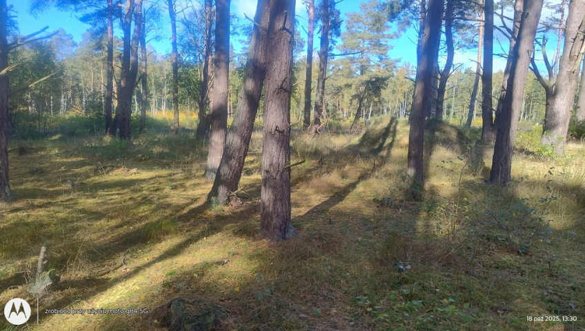 Działka Sprzedaż Dziwnów