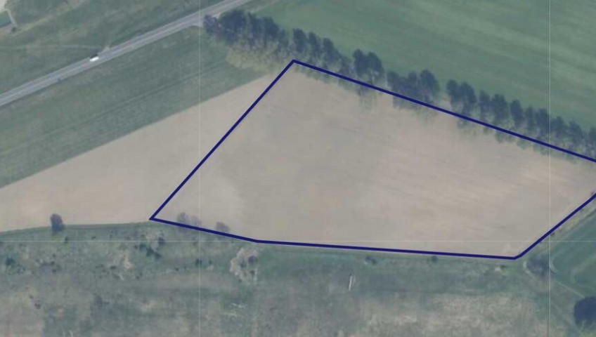 Działka Sprzedaż Wojcieszyn