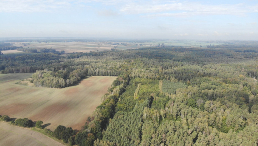 Działka Sprzedaż Rów
