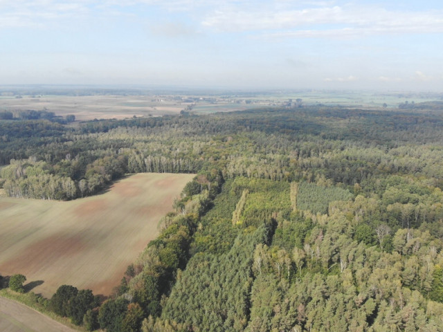 Działka Sprzedaż Rów