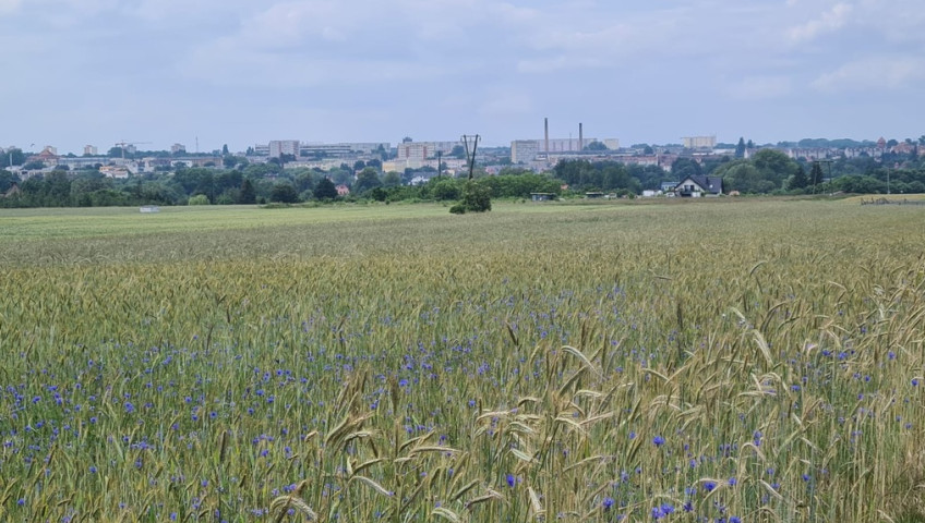 Działka Sprzedaż Stargard