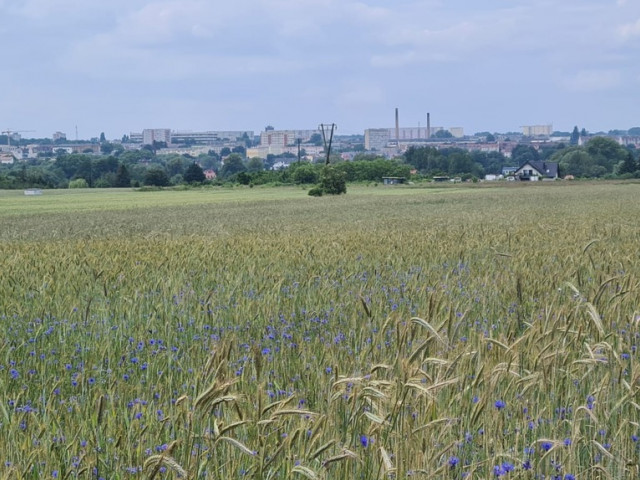 Działka Sprzedaż Stargard