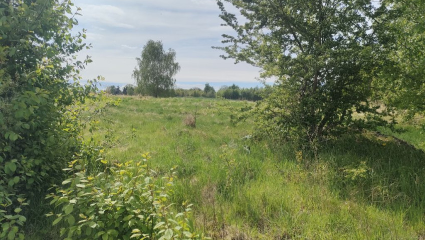 Działka Sprzedaż Lędzin