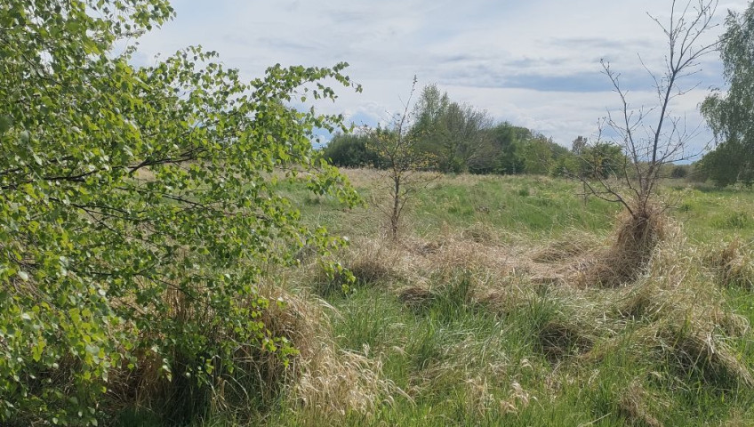 Działka Sprzedaż Lędzin