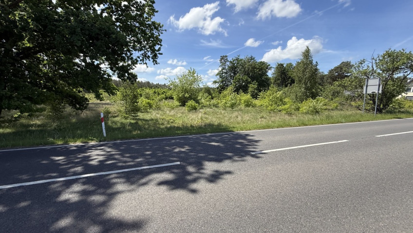 Działka Sprzedaż Brzózki