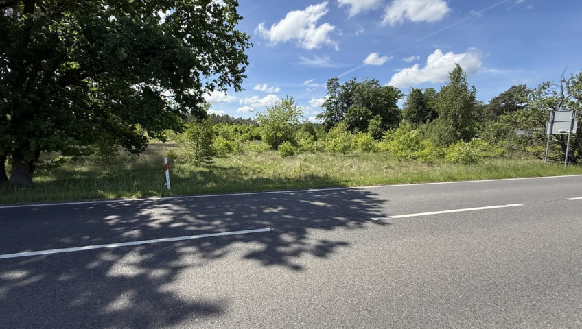 Działka Sprzedaż Brzózki