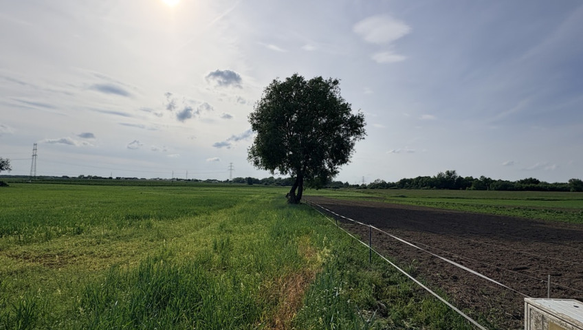 Działka Sprzedaż Przęsocin