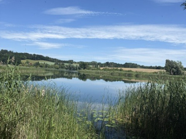 Działka Wynajem Binowo