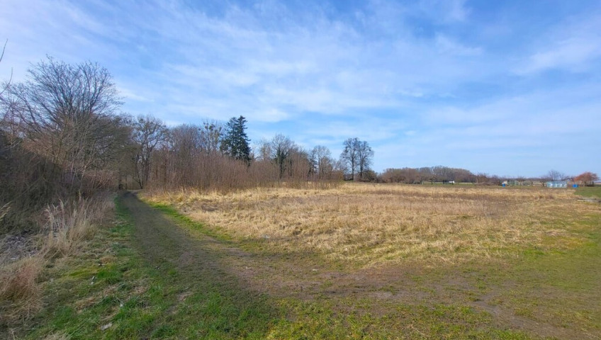Działka Sprzedaż Koszewo
