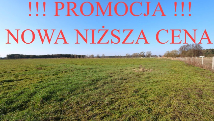 Działka Sprzedaż Lubczyna