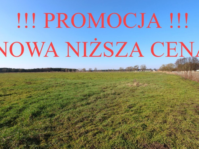 Działka Sprzedaż Lubczyna