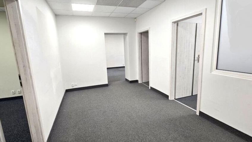 Lokal Wynajem Szczecin Śródmieście-Centrum