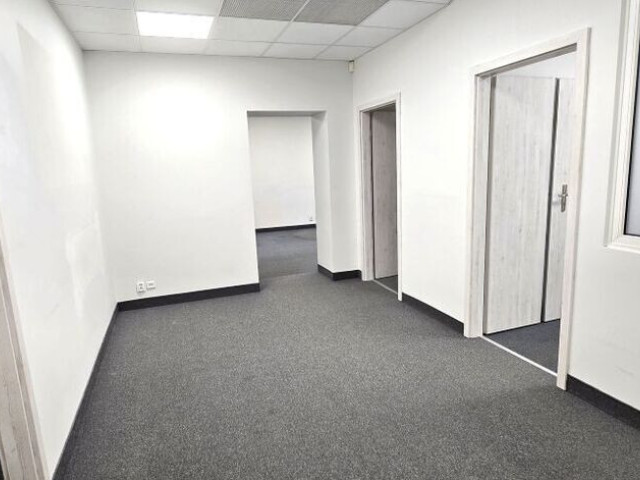 Lokal Wynajem Szczecin Śródmieście-Centrum