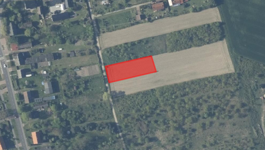 Działka Sprzedaż Bielkowo Ogrodowa