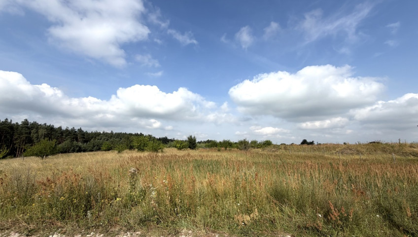 Działka Sprzedaż Daleszewo