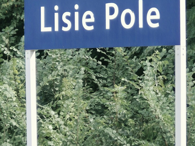 Dom Sprzedaż Lisie Pole
