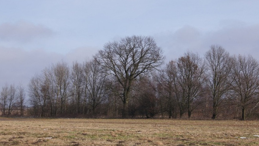 Działka Sprzedaż Jarzębowo