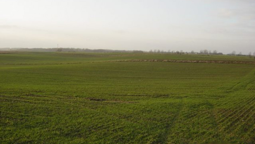Działka Sprzedaż Siadło Górne
