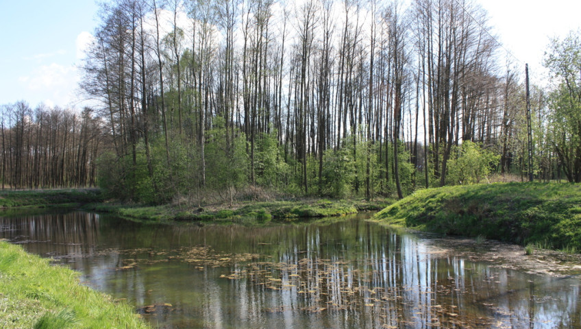 Obiekt Sprzedaż Świdwin