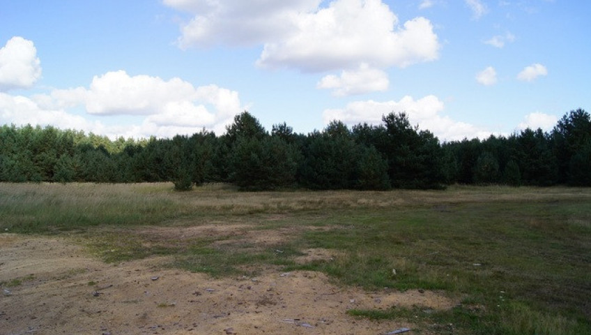 Działka Sprzedaż Sowno