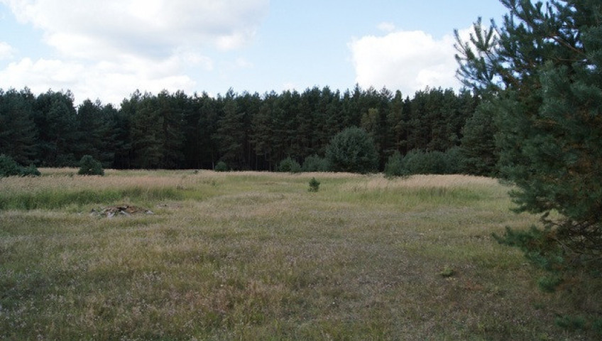 Działka Sprzedaż Sowno