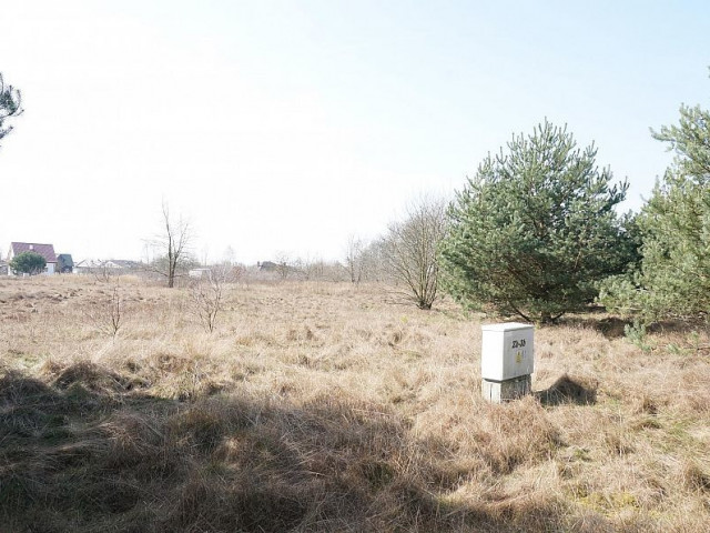 Działka Sprzedaż Rurzyca