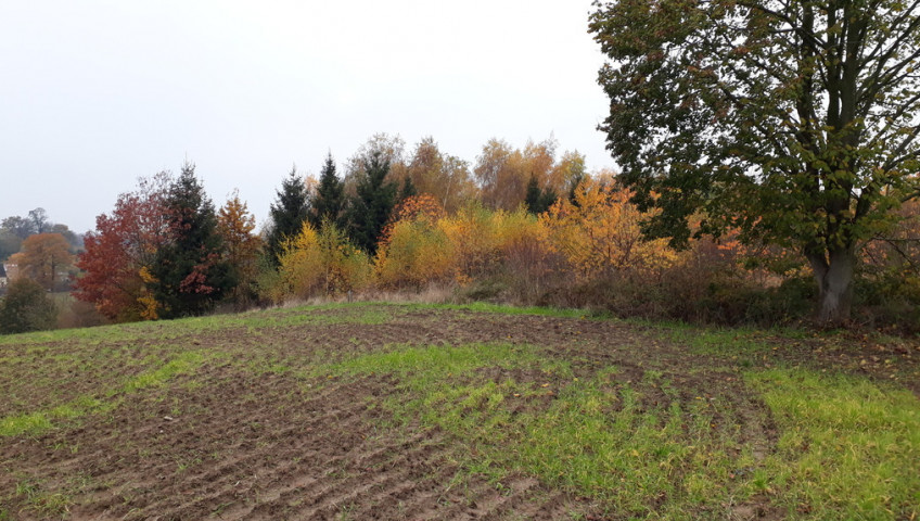 Działka Sprzedaż Danowo