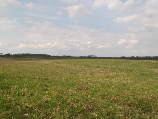 Działka Sprzedaż Buk