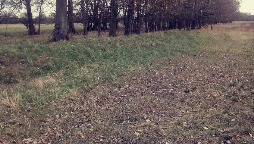 Działka Sprzedaż Łęgi