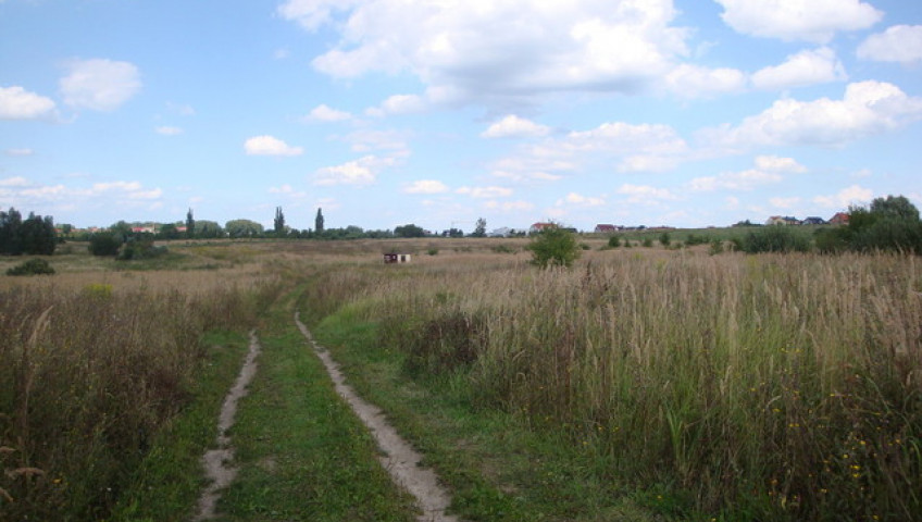 Działka Sprzedaż Mierzyn