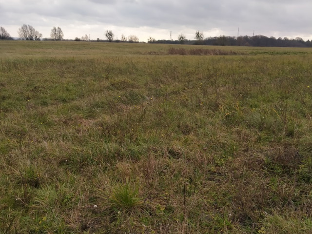 Działka Sprzedaż Szczecin Skolwin
