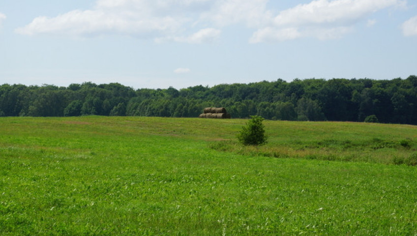 Działka Sprzedaż Bobolice