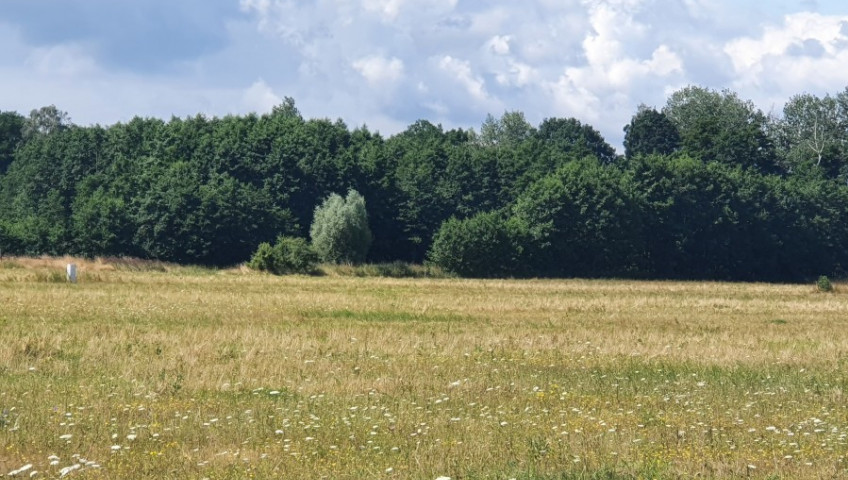 Działka Sprzedaż Szczecin Skolwin