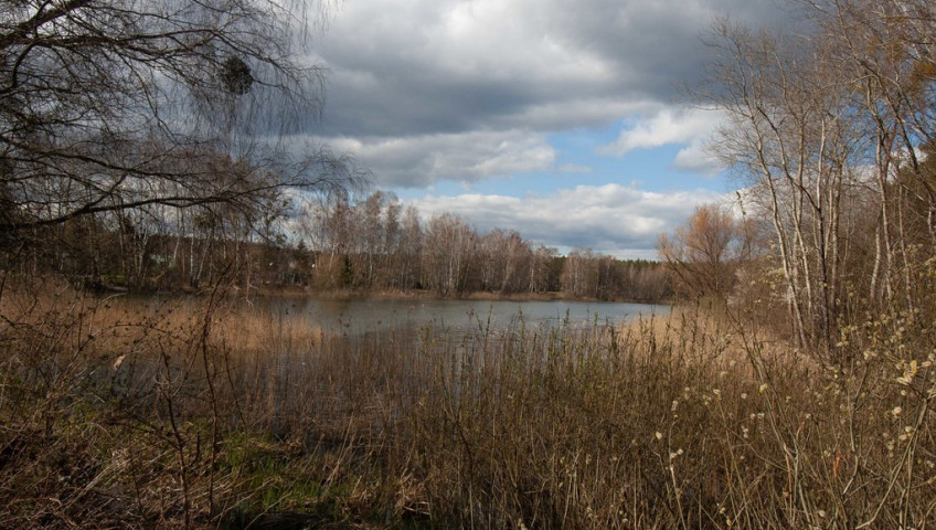 Dom Sprzedaż Bartoszewo