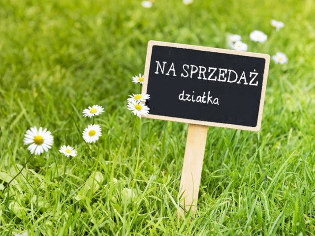 Działka Sprzedaż Wołczkowo