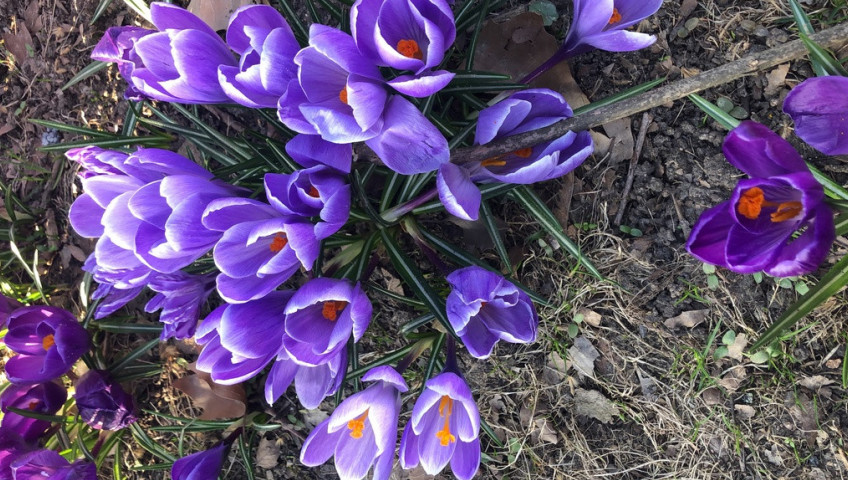 Działka Sprzedaż Szczecin Bezrzecze