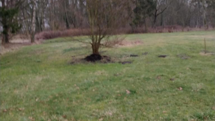 Działka Sprzedaż Rzędziny