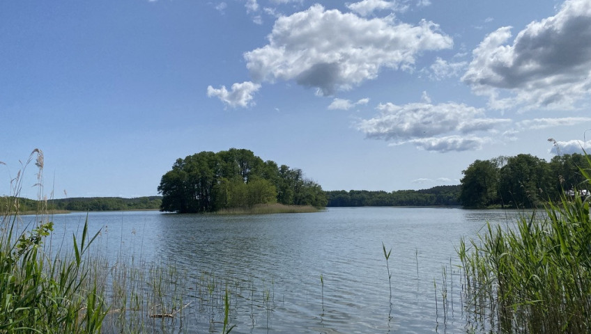 Działka Sprzedaż Przybiernów