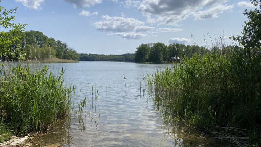 Działka Sprzedaż Przybiernów