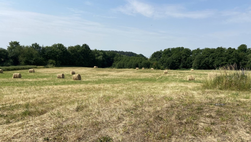 Działka Sprzedaż Glinna