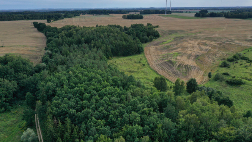 Działka Sprzedaż Prusinowo