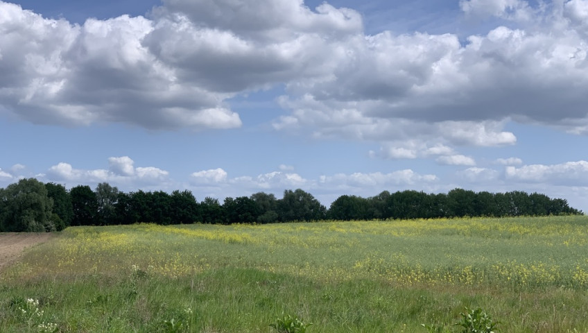 Działka Sprzedaż Stobno