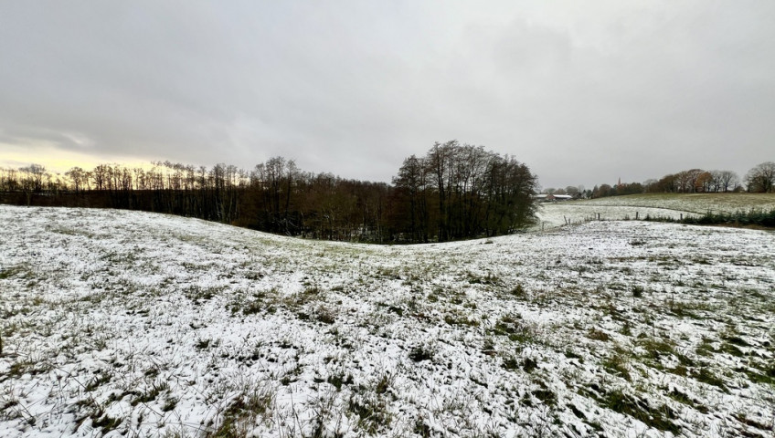 Działka Sprzedaż Kołowo