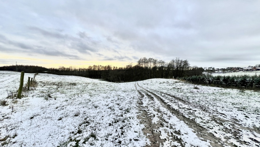 Działka Sprzedaż Kołowo