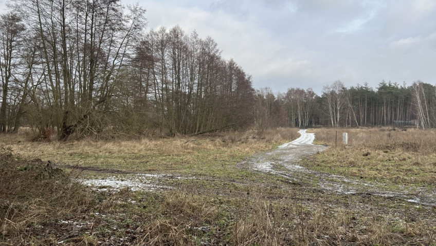 Działka Sprzedaż Brzózki