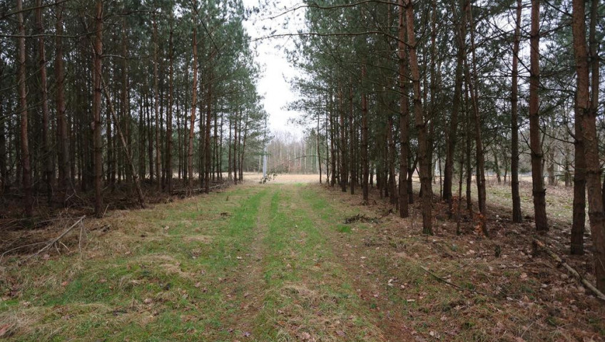 Działka Sprzedaż Krzywice