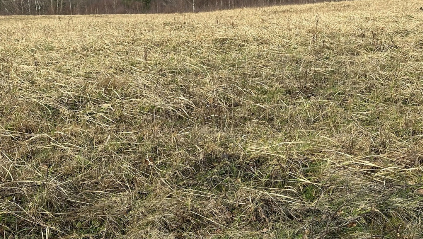 Działka Sprzedaż Storkowo
