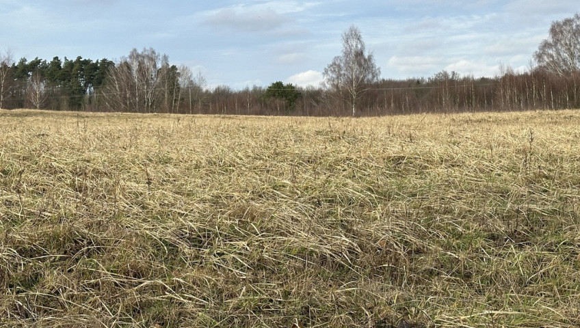 Działka Sprzedaż Storkowo
